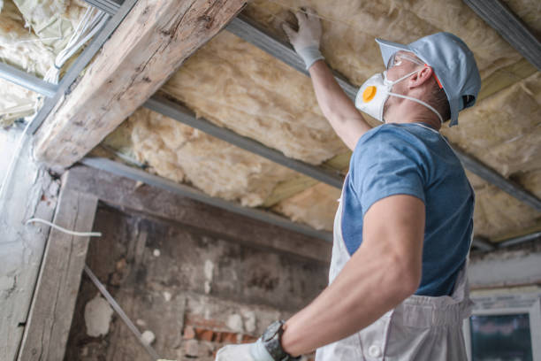Insulation Repair Services in Picnic Point, WA